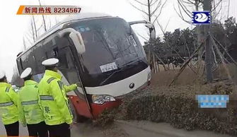 汽车冲入花坛赔偿多少